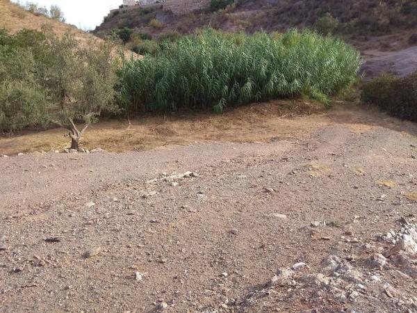 Terreno en Benajarafe photo 1