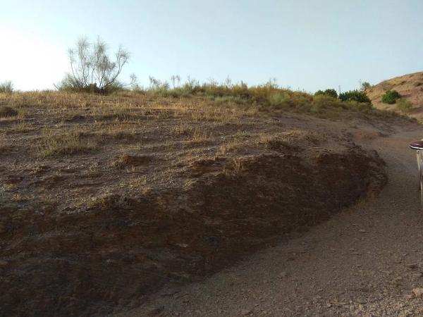 Terreno en Benajarafe photo 2