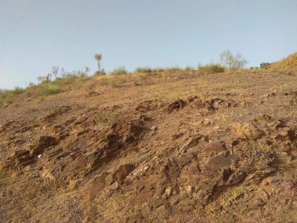 Terreno en Benajarafe photo 3