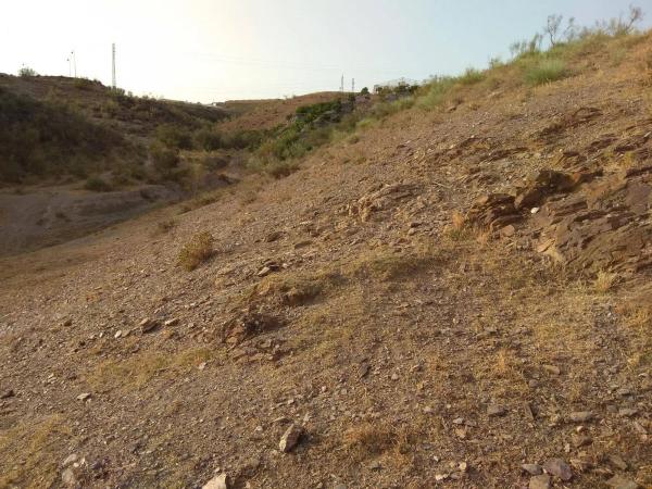 Terreno en Benajarafe photo 4