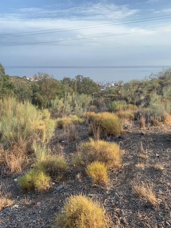 Terreno en venta en Benajarafe, Malaga photo 4