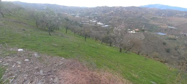 Terreno en Benajarafe photo 1