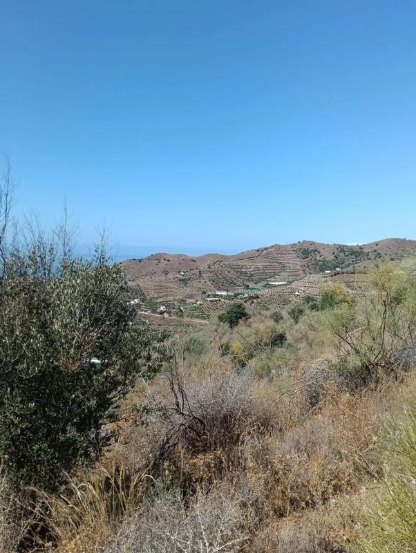 Działka na sprzedaż w Benajarafe, Malaga photo 3