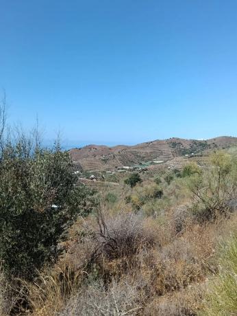 Terreno en Benajarafe photo 3
