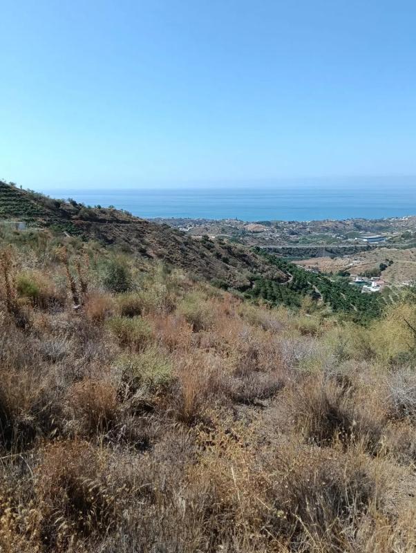 Działka na sprzedaż w Benajarafe, Malaga photo 5