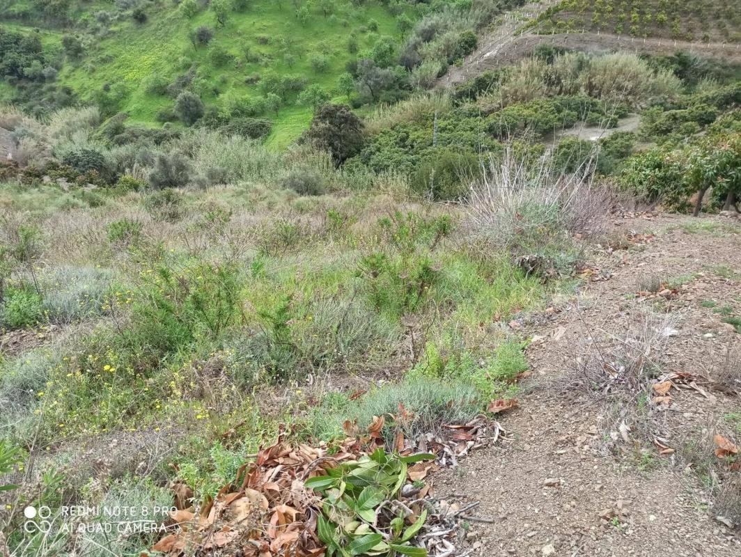 Terreno en venta en Benamocarra, Malaga photo 1