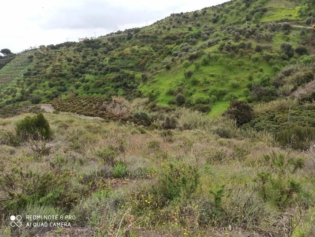 Terreno en venta en Benamocarra, Malaga photo 5