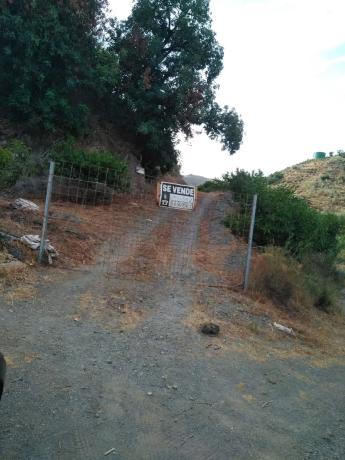 Terreno en carretera canillas de aceituno s/n photo 1