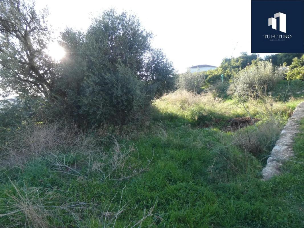 Działka na sprzedaż w Canillas de Aceituno, Malaga photo 2