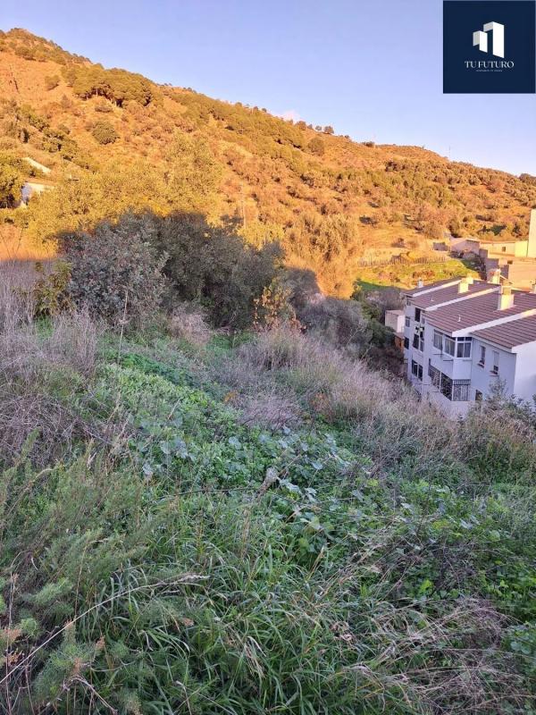 Działka na sprzedaż w Canillas de Aceituno, Malaga photo 3