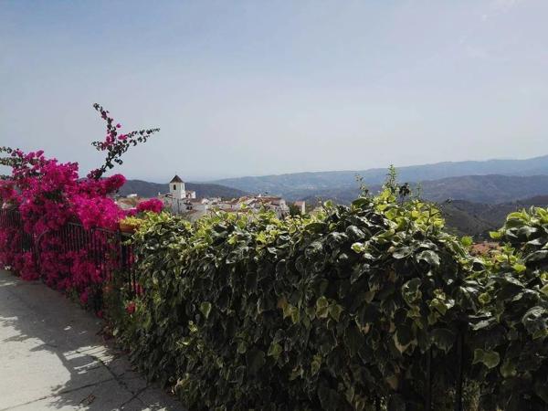 Terreno en convento s/n photo 2