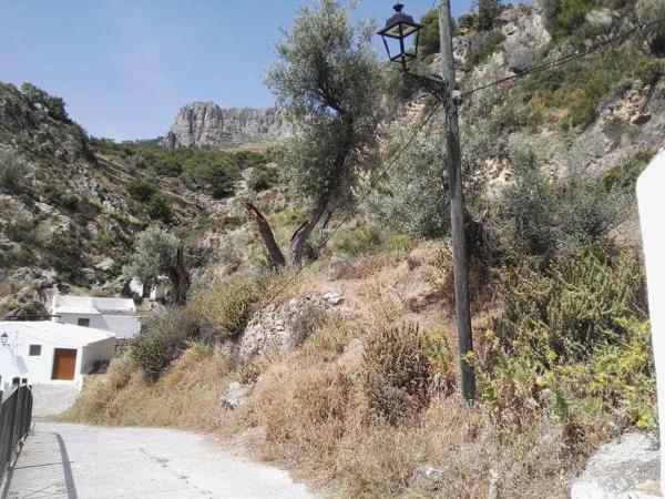 Terreno en convento s/n photo 3