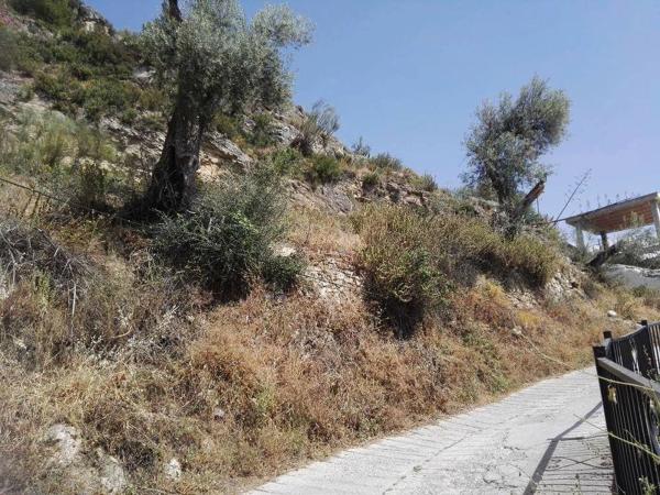 Terreno en convento s/n photo 4
