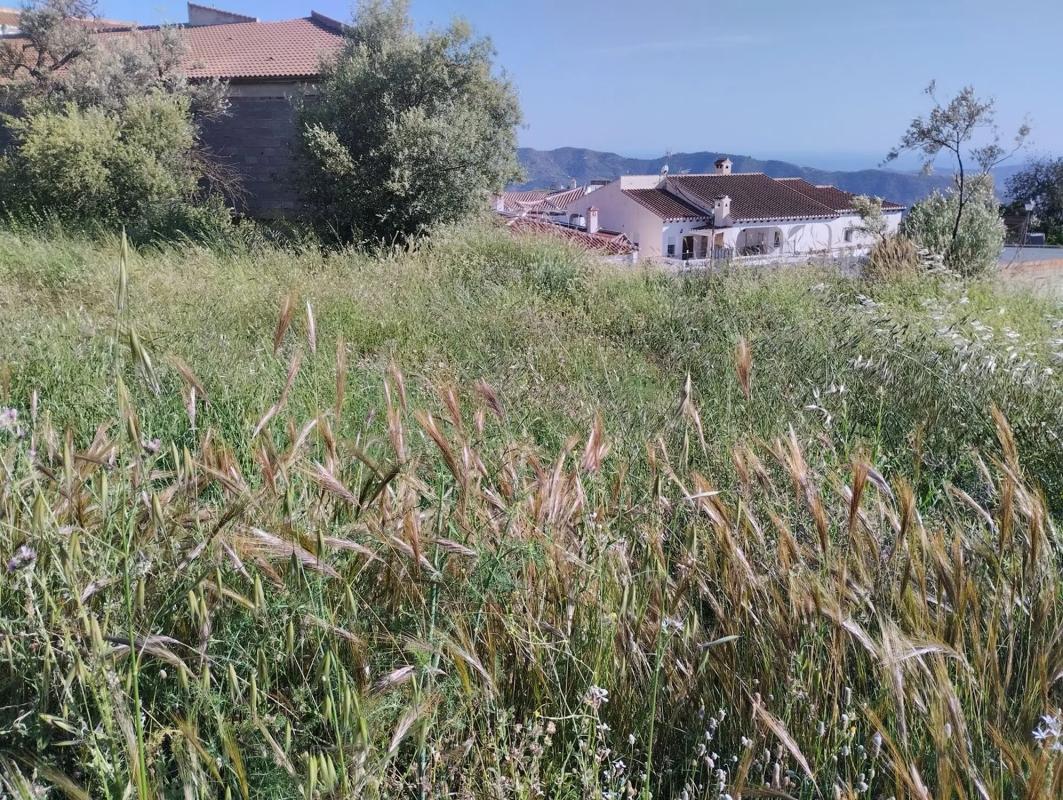 Terreno en venta en Canillas de Aceituno, Malaga photo 2
