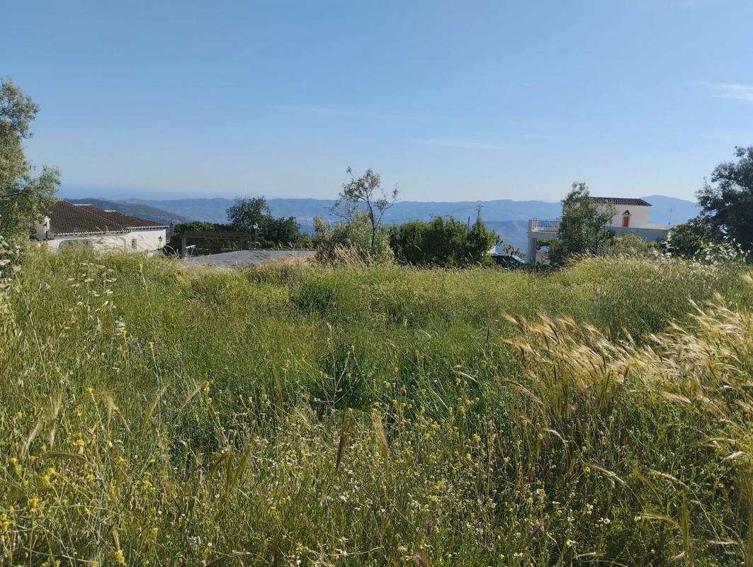Terreno en venta en Canillas de Aceituno, Malaga photo 3