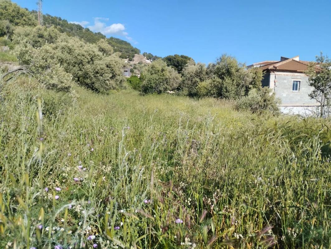 Terreno en venta en Canillas de Aceituno, Malaga photo 4