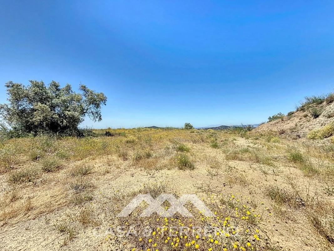 Land for sale in Canillas de Albaida, Malaga photo 1