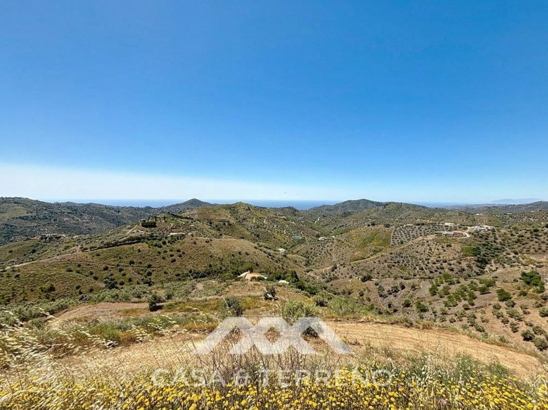 Land for sale in Canillas de Albaida, Malaga photo 2