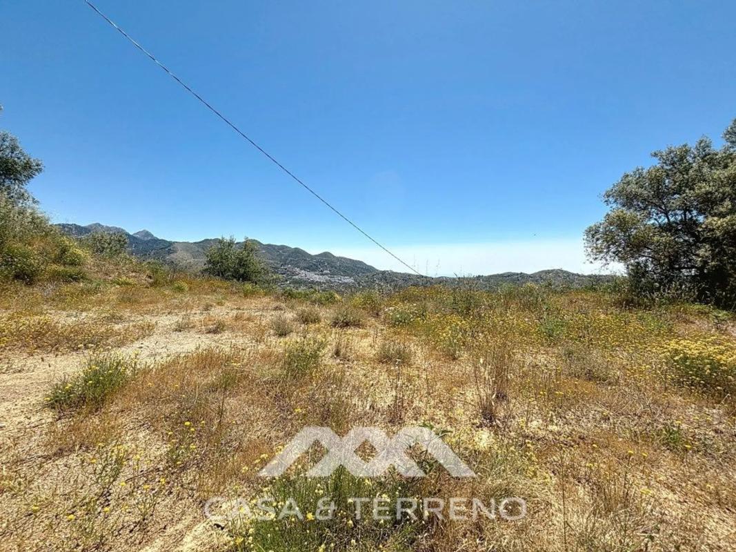Land for sale in Canillas de Albaida, Malaga photo 3