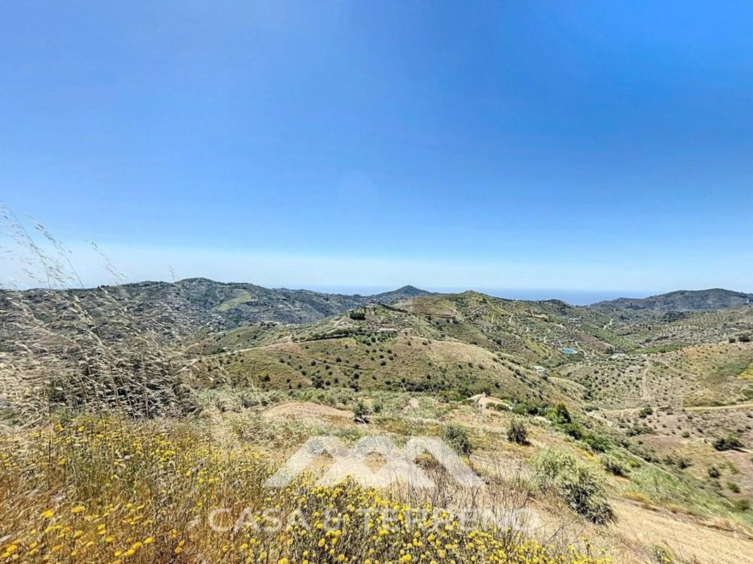Land for sale in Canillas de Albaida, Malaga photo 4