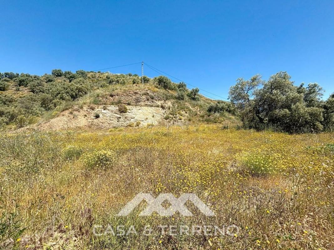 Land for sale in Canillas de Albaida, Malaga photo 5
