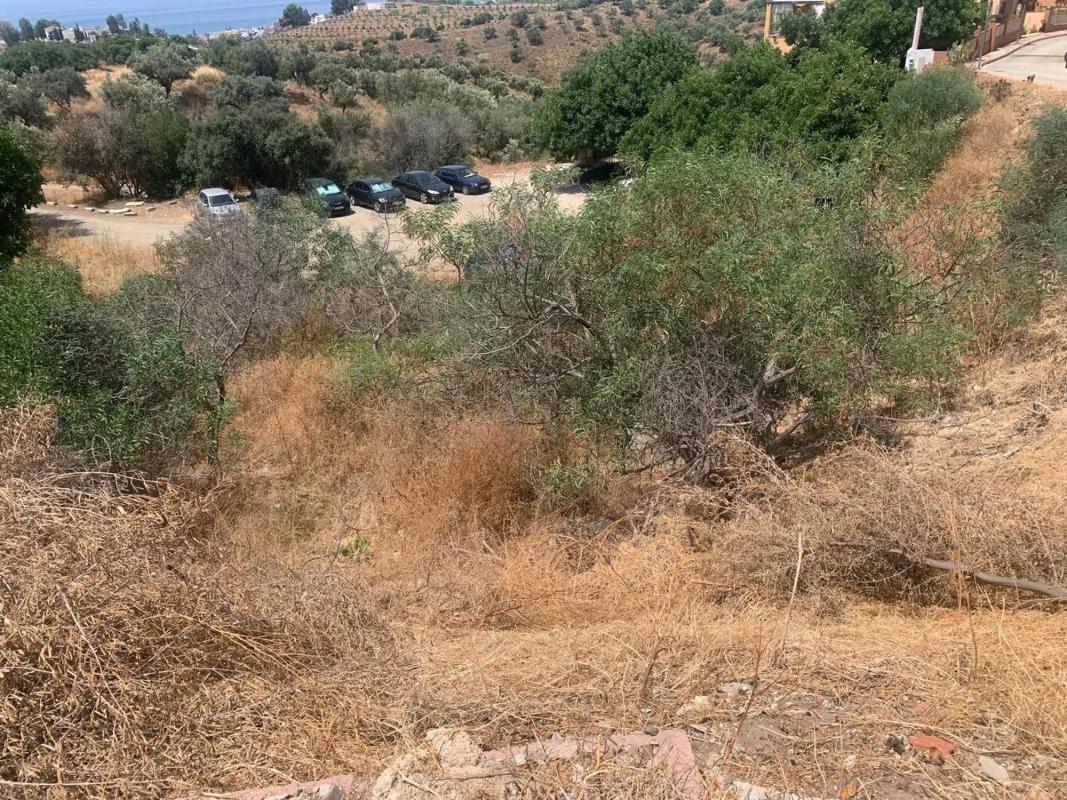 Land for sale in Chilches, Malaga photo 3