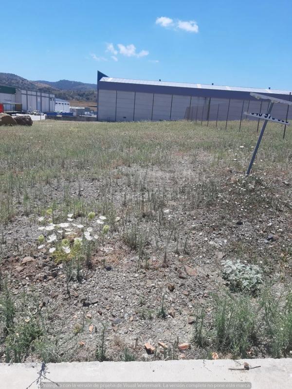 Land for sale in Colmenar, Malaga photo 2