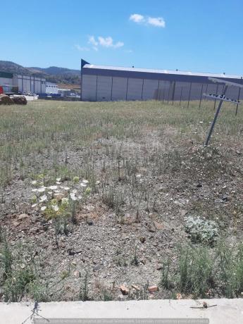 Terreno en Colmenar photo 2