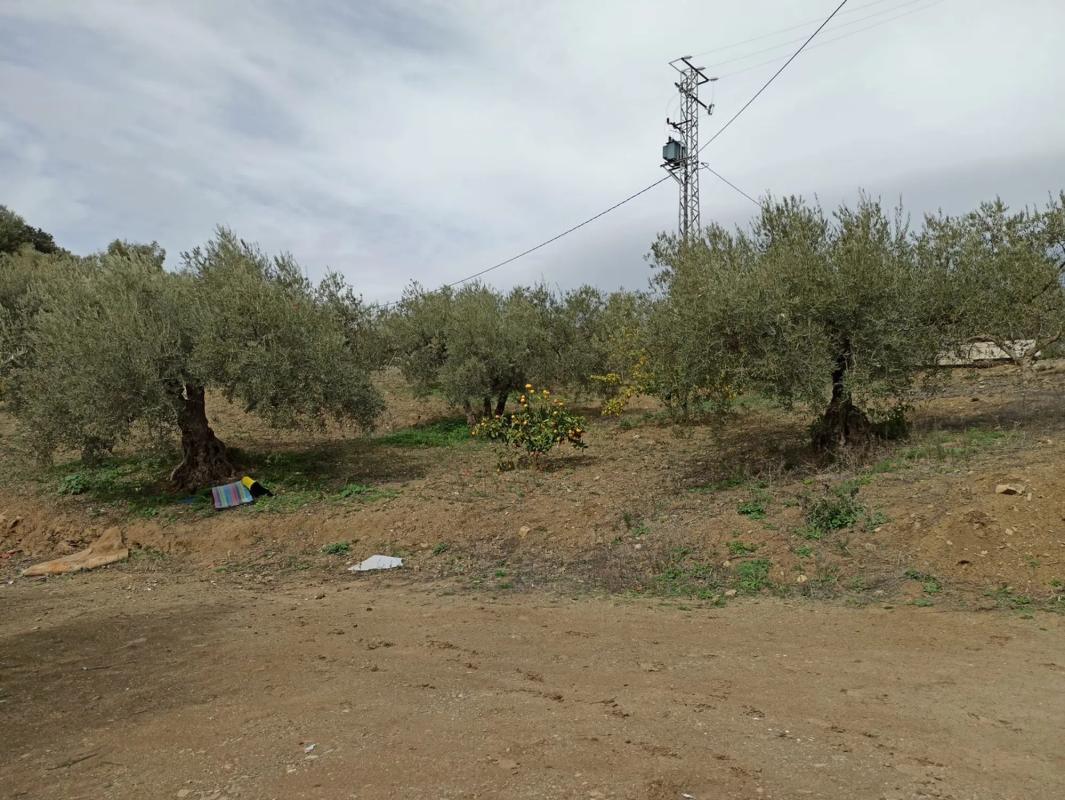 Działka na sprzedaż w Kolmenar, Malaga photo 2