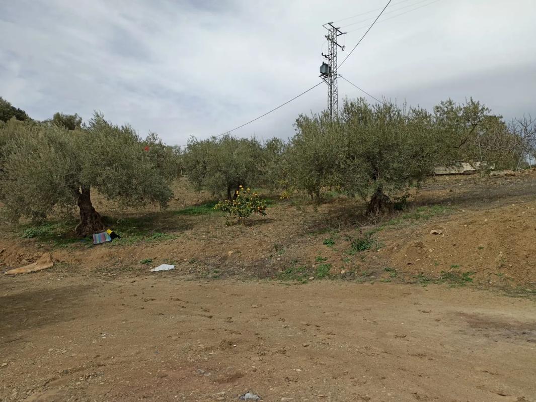 Działka na sprzedaż w Kolmenar, Malaga photo 4