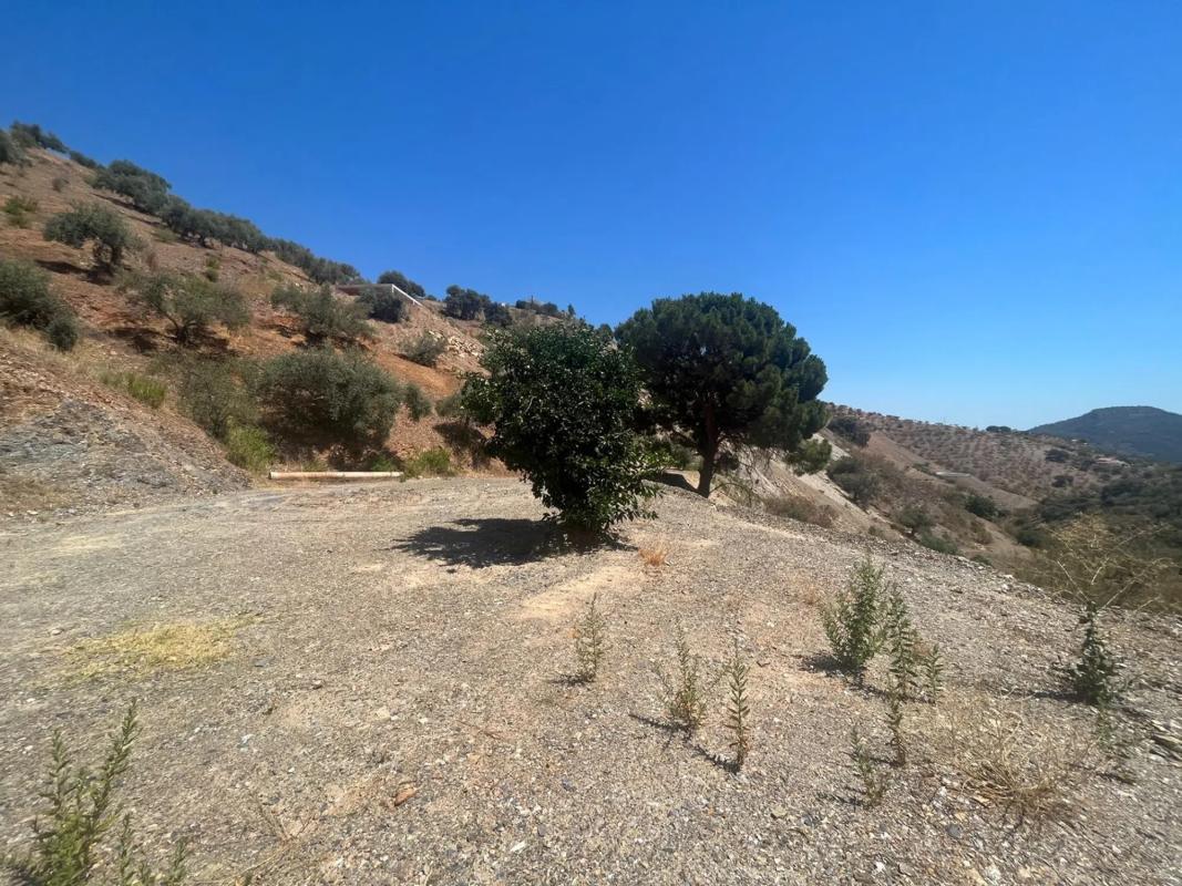 Terreno en venta en Colmenar, Malaga photo 4