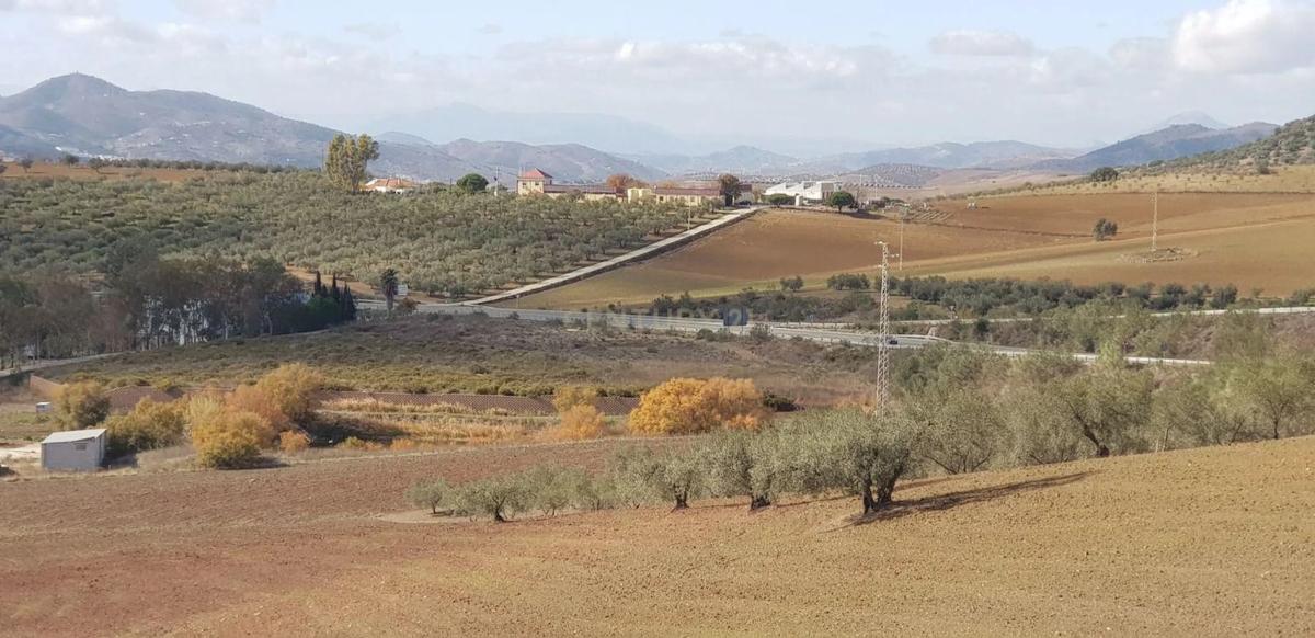 Terreno en venta en Colmenar, Malaga photo 2