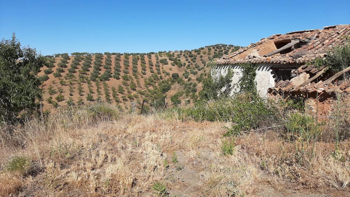 Terreno en venta en Colmenar, Malaga photo 2