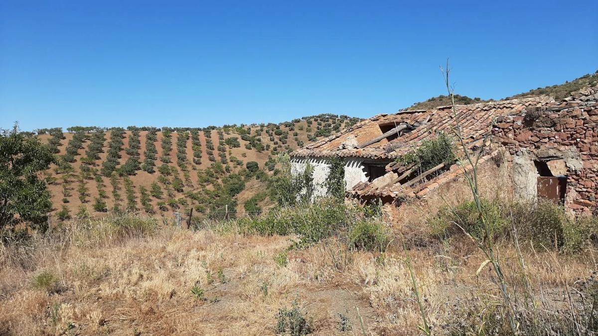 Terreno en venta en Colmenar, Malaga photo 3