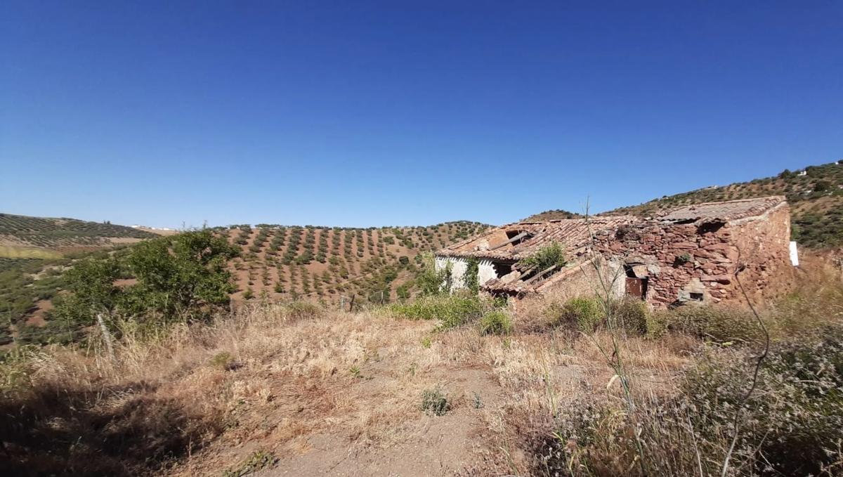 Terreno en venta en Colmenar, Malaga photo 4