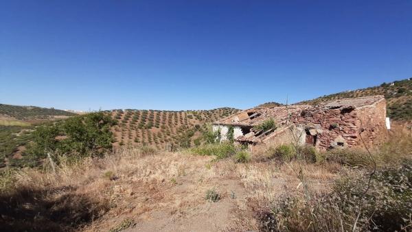 Terreno en Colmenar photo 4