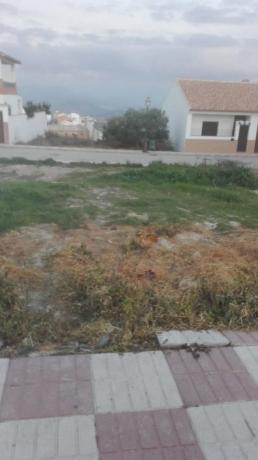 Terreno en Urbanizacion La Candelaria thumbnail 2