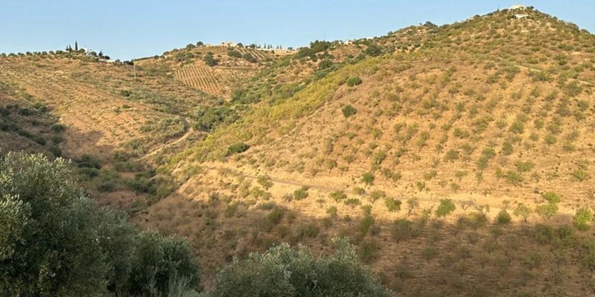 Terreno en venta en Colmenar, Malaga photo 2