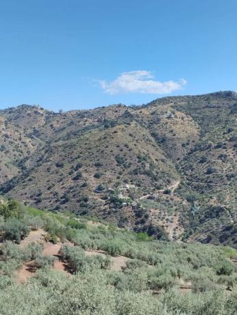Terreno en arroyo solano s/n photo 3
