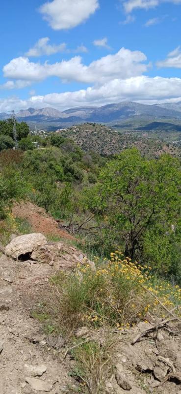 Terreno en venta en Comares, Malaga photo 1