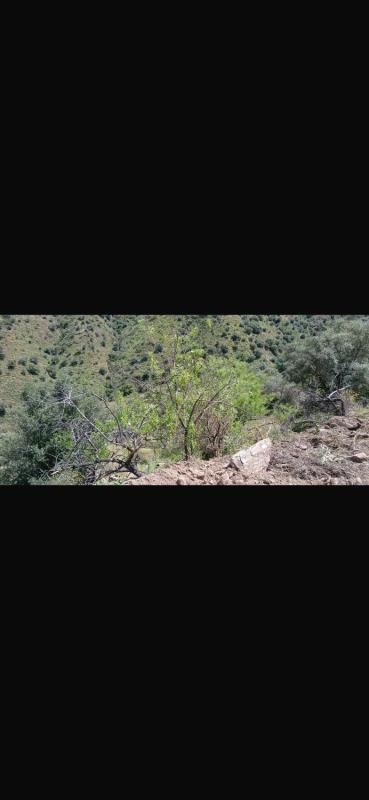 Terreno en venta en Comares, Malaga photo 2
