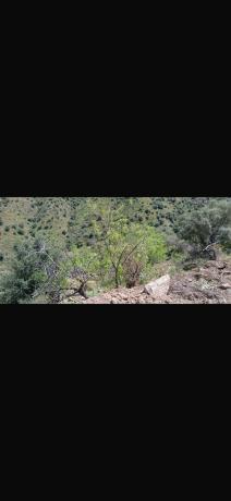Terreno en Lomasierra s/n photo 2