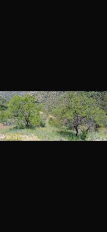 Terreno en Lomasierra s/n photo 4
