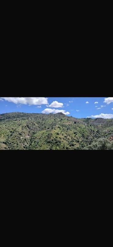 Terreno en venta en Comares, Malaga photo 5