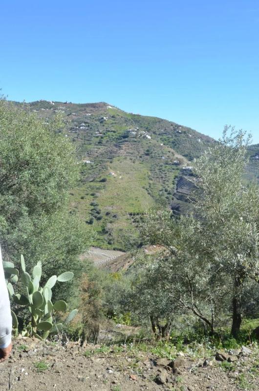 Terreno en venta en Competa, Malaga photo 1
