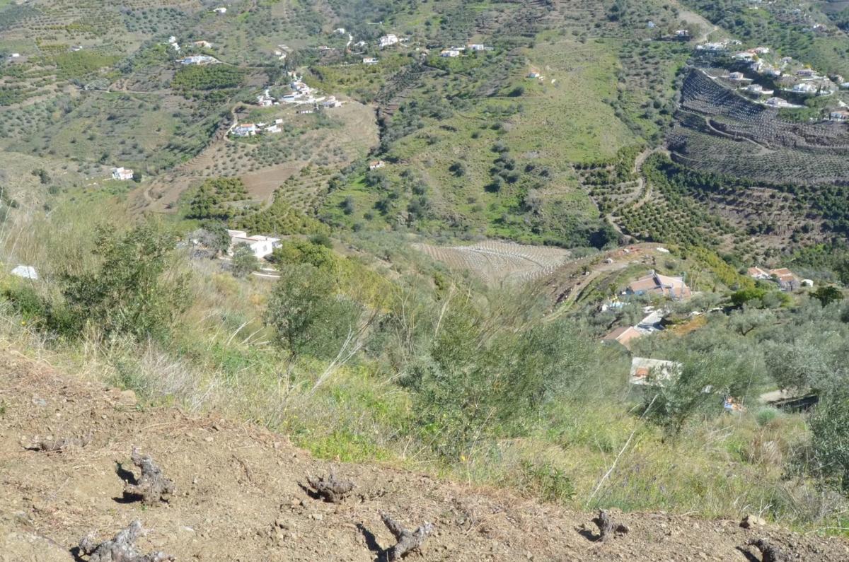 Terreno en venta en Competa, Malaga photo 4