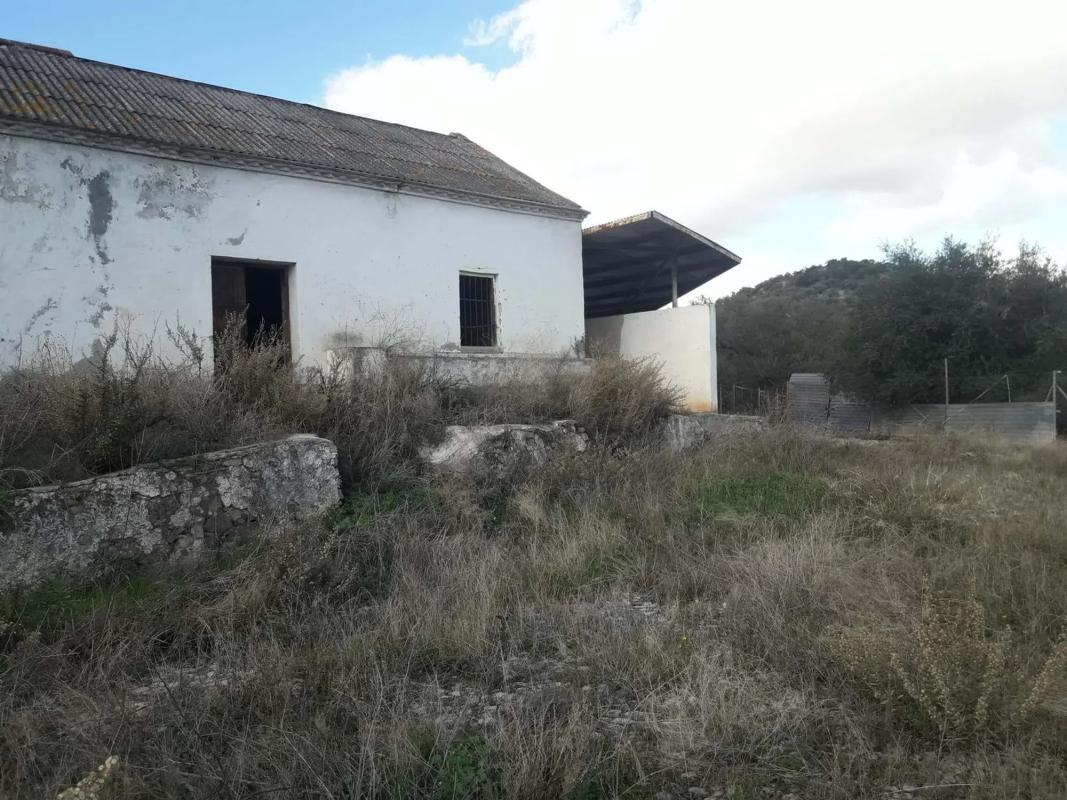 Land for sale in Cutar, Malaga photo 1
