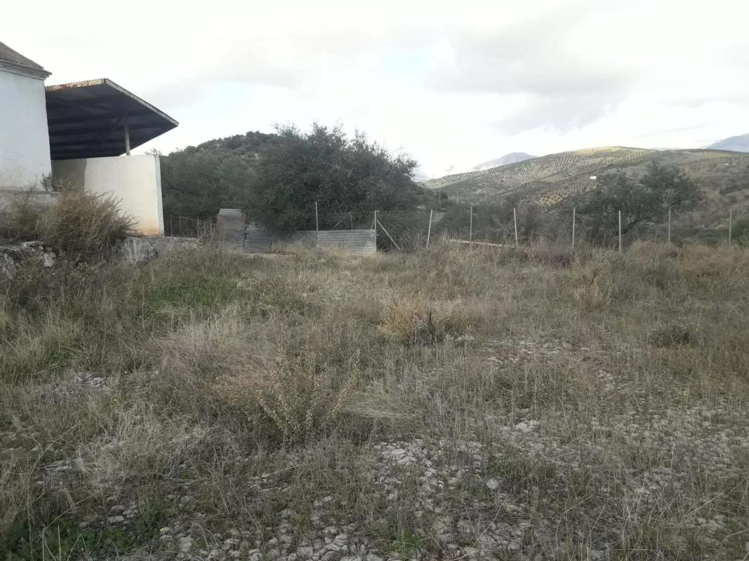 Land for sale in Cutar, Malaga photo 2