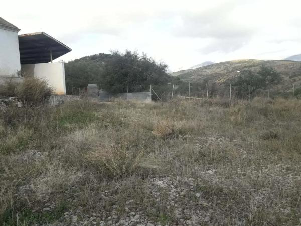 Terreno en calle Medico, 4 photo 2