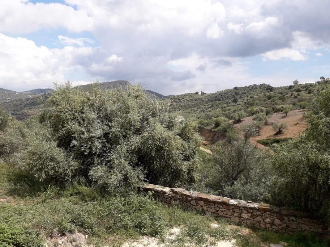 Land for sale in Cutar, Malaga photo 5